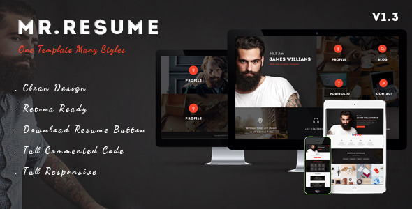  Morgan - CV works display WP theme