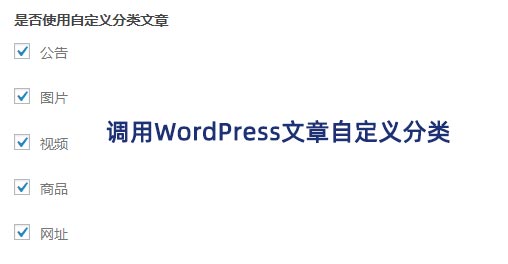 WordPress调用自定义文章分类中的文章