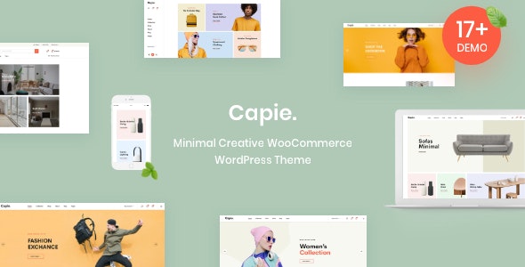  Capie - small online e-commerce website template WordPress theme