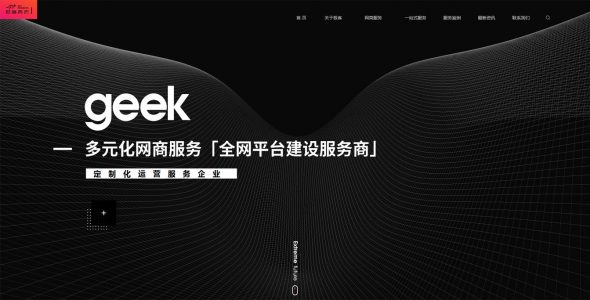 SEO优化营销推广公司网站