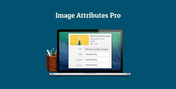 Auto Image Attributes Pro - 媒体库批量添加图像标题描述WordPress插件