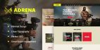 Adrena - 游戏装备商店网站WordPress模板