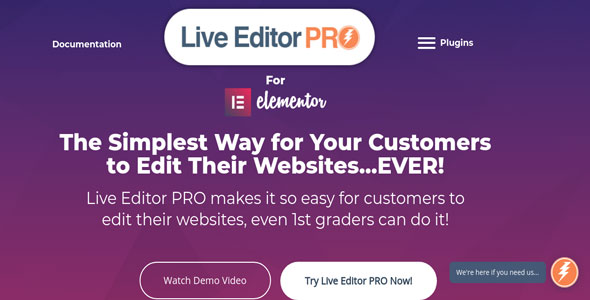 Live Editor PRO For Elementor 快速开始编辑器扩展插件