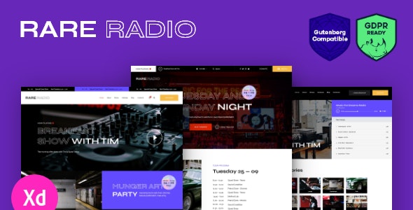  Rare Radio - WordPress theme of music radio dance music audition website