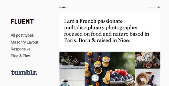  Fluent - Professional photographer's work display Tumblr template