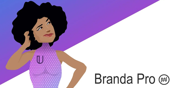 Branda Pro - WordPress white label branding