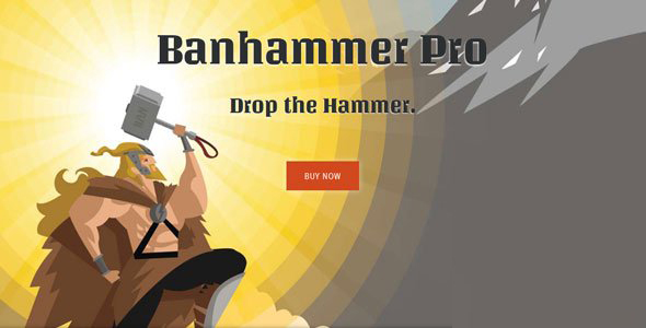 Banhammer Pro - 安全防护流量监控插件