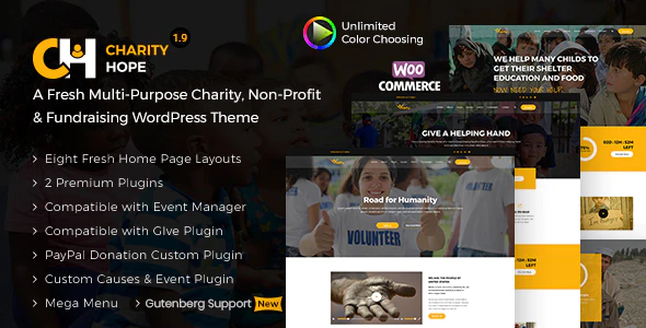 Charity Hope - 非盈利筹款网站模板WordPress主题