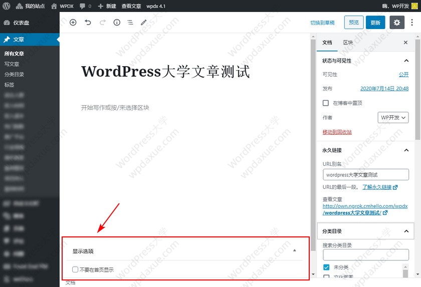 WordPress 主题如何设置首页排除某些文章