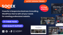 Socex - 商业咨询公司网站模板WordPress主题
