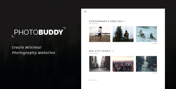 PhotoBuddy - 创意响应式作品展示WordPress模板