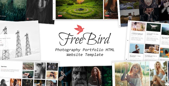 FreeBird - 摄影作品展示HTML网站模板