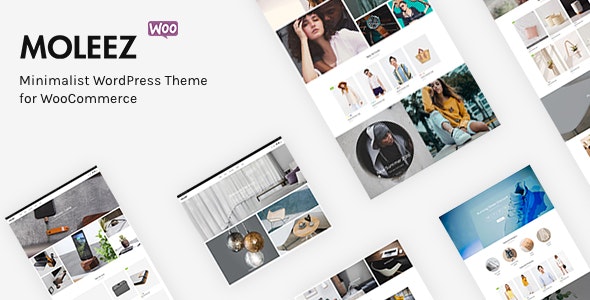 Moleez - Minimalist WordPress Theme for WooCommerce