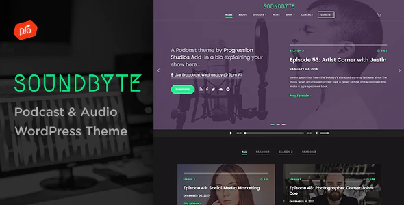 Soundbyte -  播客/音频视频音乐工作室WordPress主题