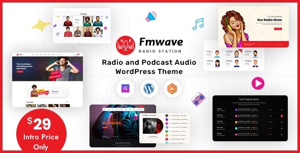  Fmwave - radio music audition website template WordPress theme+RTL