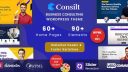 Consilt - 高端多用途企业网站模板 WordPress 主题