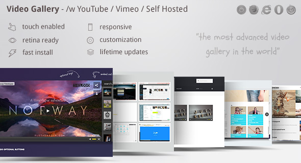 Video Gallery Wordpress Plugin /w YouTube Vimeo - 视频网格插件