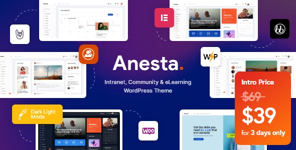 Anesta - Intranet Extranet Community and BuddyPress WordPress Theme