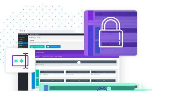Divi Protect - 密码保护内容插件