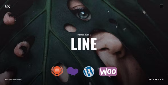 Wox - 创意单页照片展示网站 WordPress 模板
