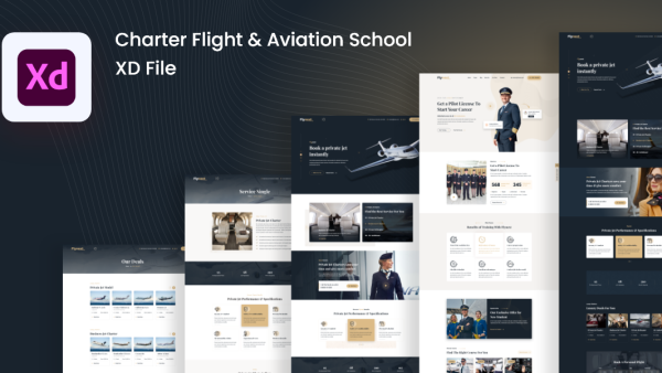 Flynext - 私人飞机航空设备网站XD模板